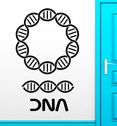 Colorful Vinyl DNA Wall Sticker